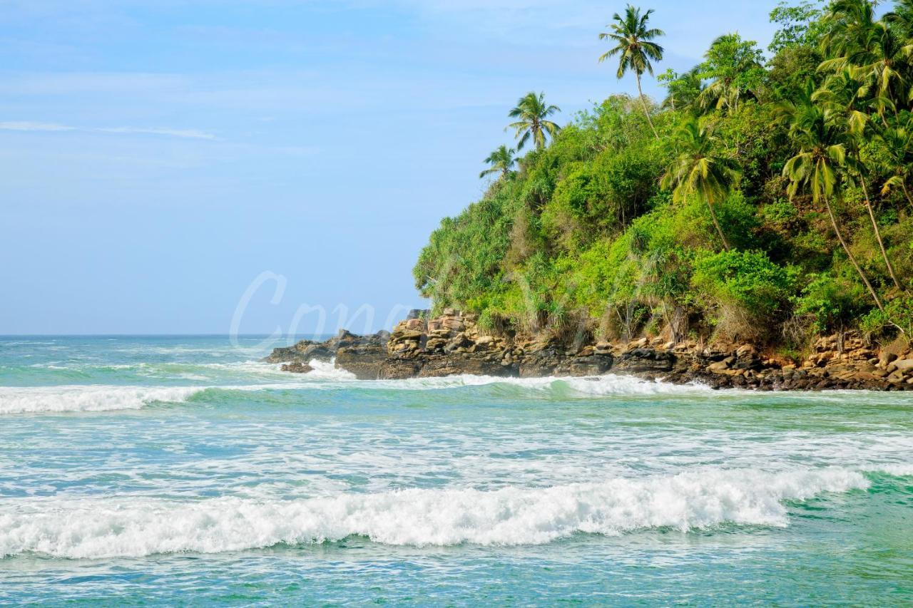 Grand Conch Villa Tangalle Exteriér fotografie